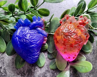 Anatomische Herz Magnete verschiedene Farben & Designs – Handgemachtes Resin Gothic, Alternative Horror Kunst, Medizinisch und Tattoo-inspiriertes Deko-Geschenk