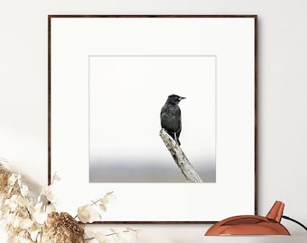 Blackbird - Bird Photography - Bird Art - Red Winged Blackbird Photo Print - Minimalist Bird Photograph - Black Bird Print