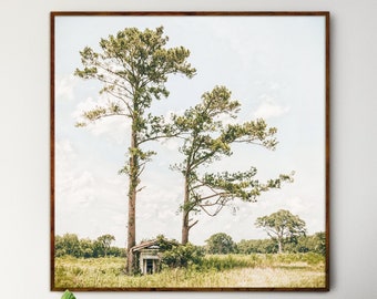 Treehugger - Old Shack Photograph - Abandoned House Photo Print - Rural Georgia Landscape Photography - American South Rustic Country Decor