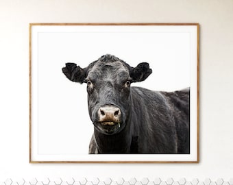 Vaca - Fotografía artística de vaca - Impresión artística de fotografía de animales de granja - Impresión fotográfica de retrato de animal de vaca - Arte mural minimalista monocromático de granja