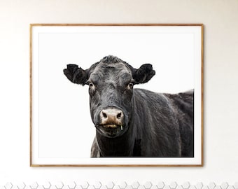 Cow - Cow Art Photograph - Animal Photography Farm Art Print - Animal Portrait Cow Photo Print - Minimalist Monochromatic Farmhouse Wall Art