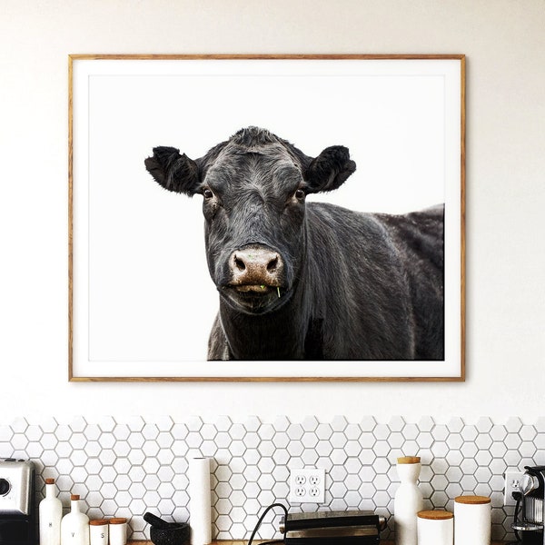 Cow - Cow Art Photograph - Animal Photography Farm Art Print - Animal Portrait Cow Photo Print - Minimalist Monochromatic Farmhouse Wall Art