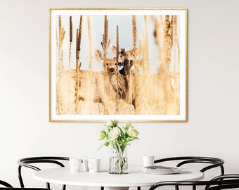 Be Still - Deer Photograph - Animal Photography - Colorado Wildlife Photo Print - Yellow Golden Brown Tan Beige Blue Color Photography