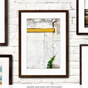 Climb Urban Nature Photography Minimalist Photo Print Still Life Art White Yellow Green Gray Color Photograph image 1