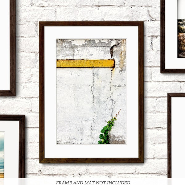 Climb - Urban Nature Photography - Minimalist Photo Print - Still Life Art - White Yellow Green Gray Color Photograph