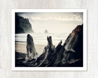 Drift Ashore - Fotografía de naturaleza - Fotografía de playa - Impresión artística de paisaje oceánico - Bellas artes monocromáticas - Impresión fotográfica de la costa de Oregón