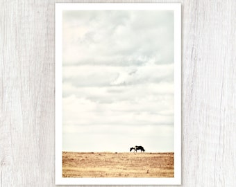 Pinto - Horse Photograph - Rustic Horse Photo Print - Minimalist Horse Art Print - Western Wall Art - Animal Photography - Farmhouse Decor