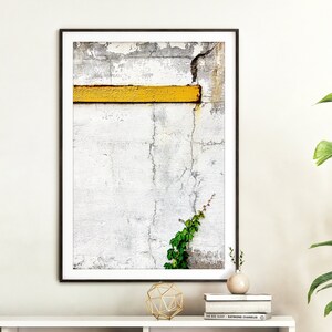 Climb Urban Nature Photography Minimalist Photo Print Still Life Art White Yellow Green Gray Color Photograph image 3