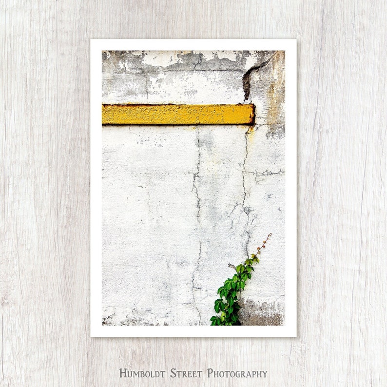 Climb Urban Nature Photography Minimalist Photo Print Still Life Art White Yellow Green Gray Color Photograph image 2