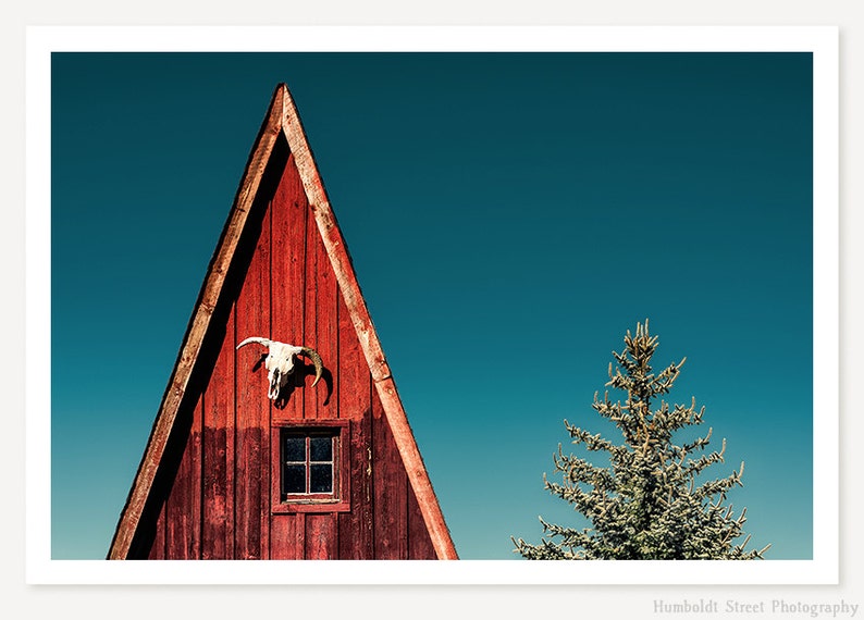 Southwestern Rustic Wall Art Old West Americana Photography Alpine A-Frame Western Cabin Photo Red White Blue Cow Skull Photograph