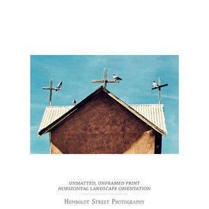 La Congregación - Arte del Suroeste - Impresión fotográfica de una iglesia de Nuevo México - Fotografía de aves - Fotografía en turquesa y adobe imagen 3