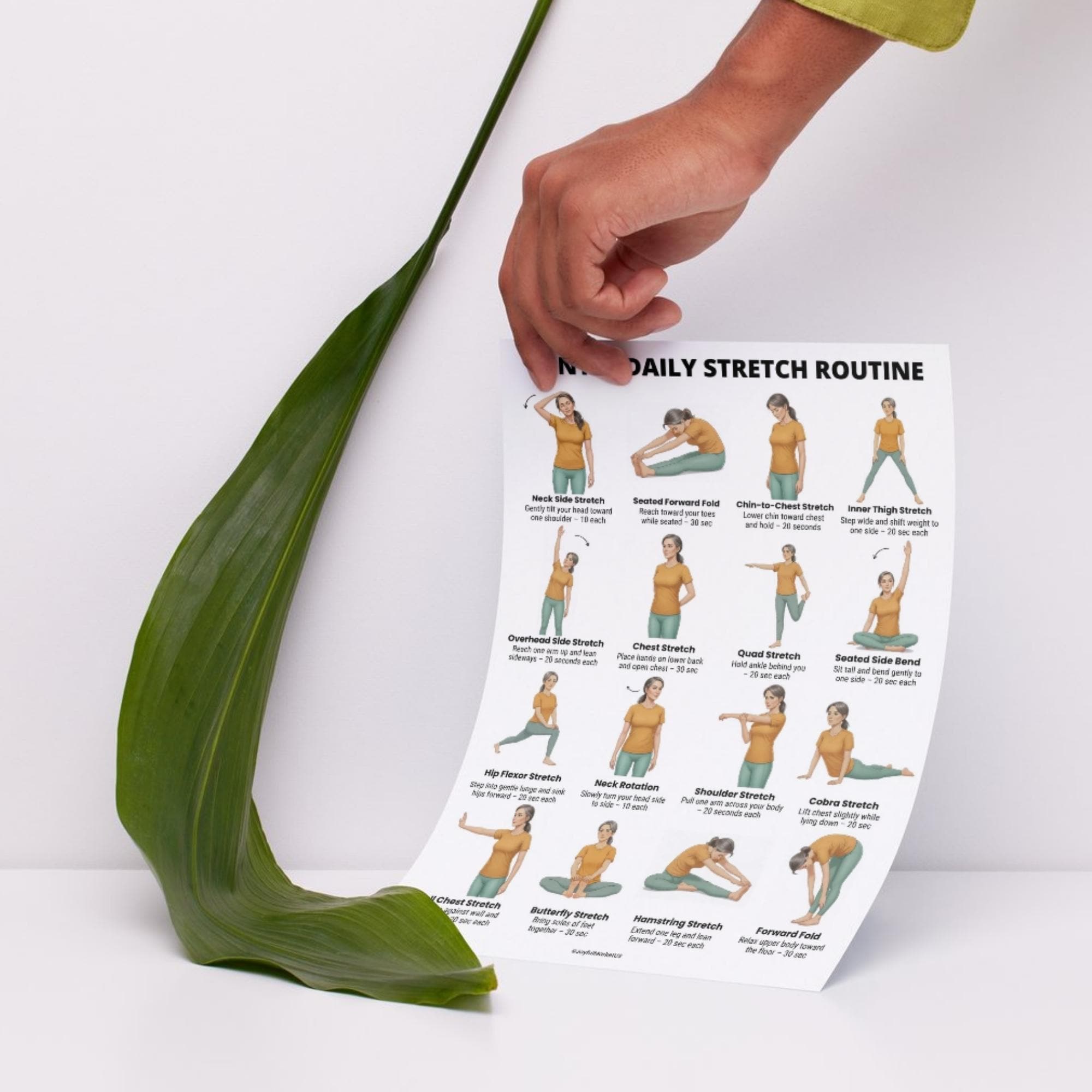Print Off Stretching Routine Gentle Daily Stretch Routine | Full Body Stretching Exercises Chart ...