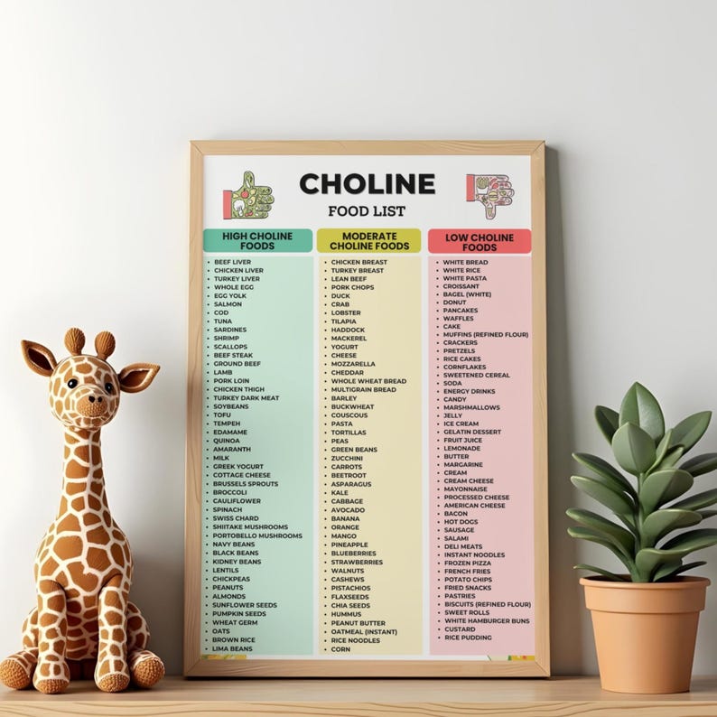 Choline Food List Printable PDF, High Choline Foods Chart, Low Vs High ...