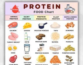 Protein Food Chart Printable, High Protein Foods List, Protein Sources Chart, Protein Foods Chart, High Protein Food List