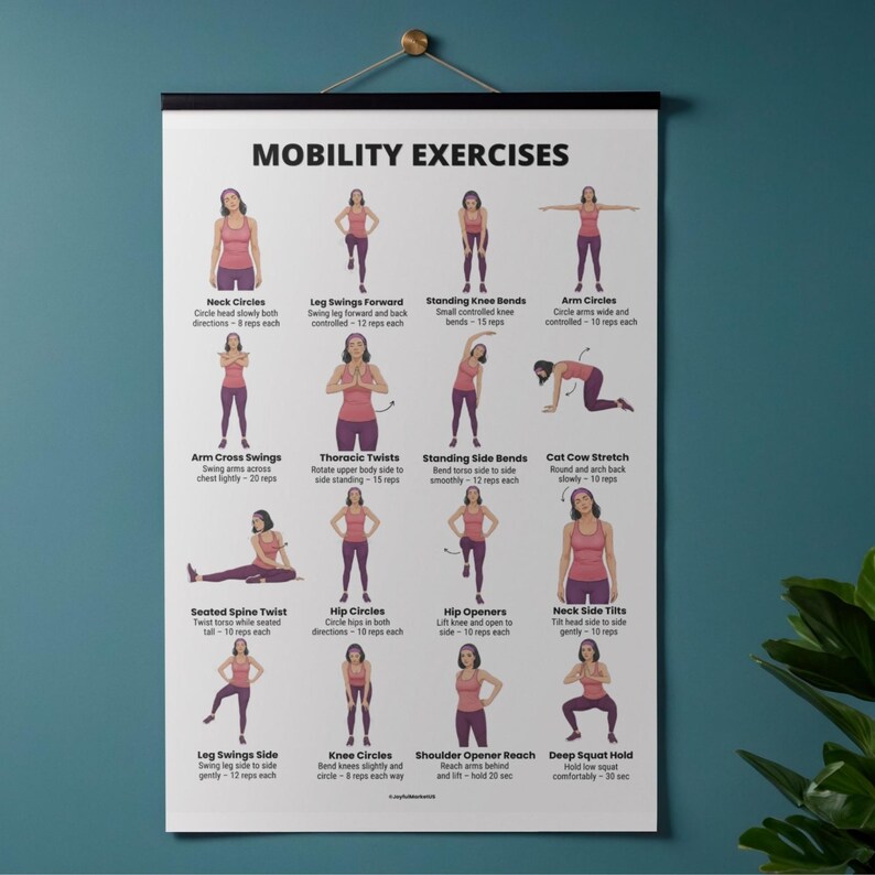 Daily Movement Workout Bundle printable set with gentle at home exercises easy daily routine and mobility exercise posters for beginners PDF