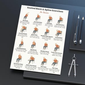 Seated Back and Spine Exercises for Seniors Printable | Chair Stretch Chart | Low Impact Workout Poster