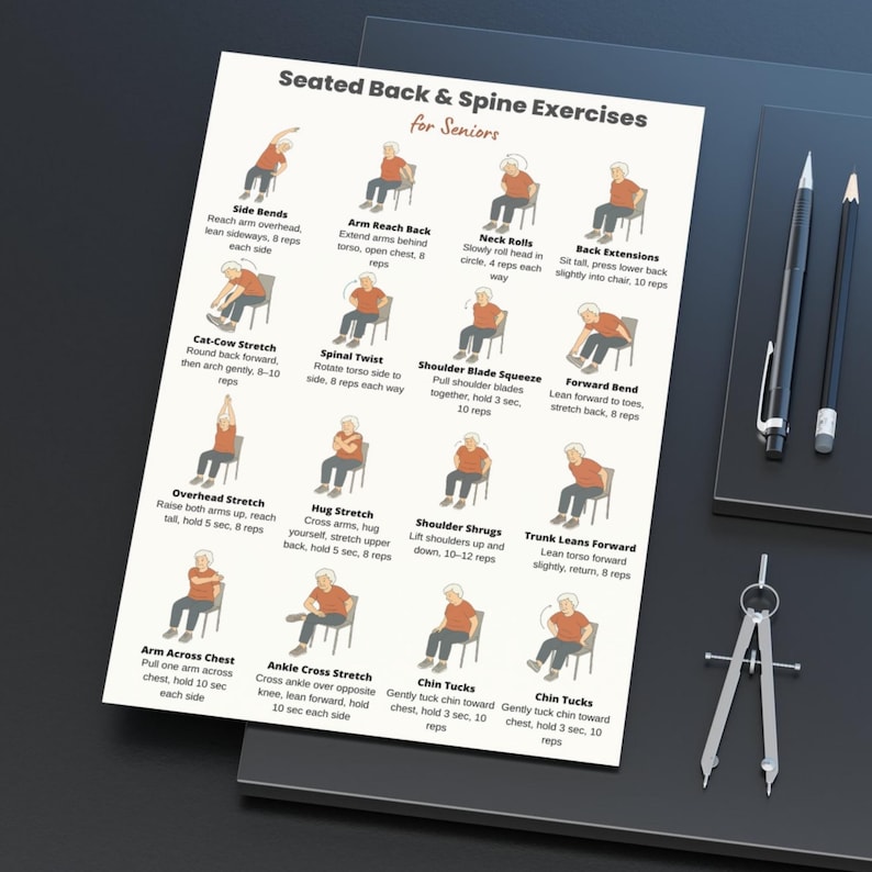 Seated Back and Spine Exercises for Seniors Printable | Chair Stretch Chart | Low Impact Workout Poster