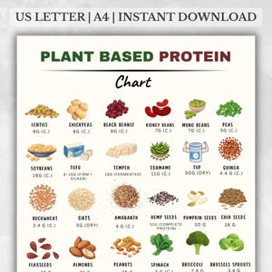 Plant Based Protein Chart Printable | Vegan Protein Foods List | Plant Protein Sources | High Protein Foods PDF | Instant Download