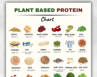 Plant Based Protein Chart Printable | Vegan Protein Foods List | Plant Protein Sources | High Protein Foods PDF | Instant Download