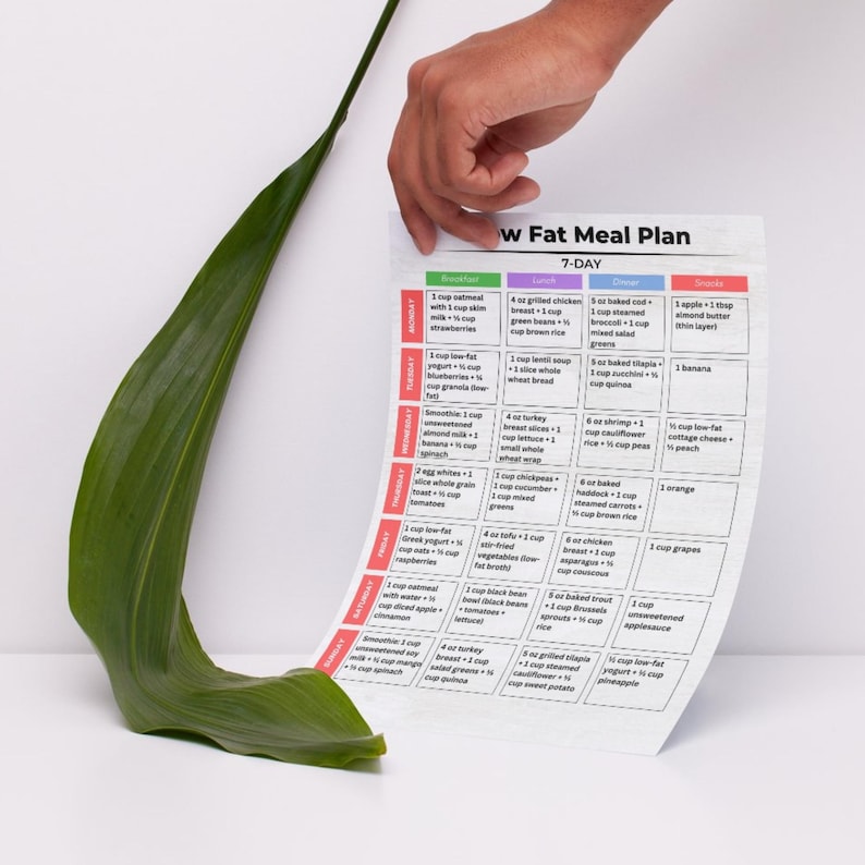Skinny Fats Menu.pdf Low Fat Meal Plan 7 Day PDF | Low Fat Weekly Meal Plan Printable | Low ...