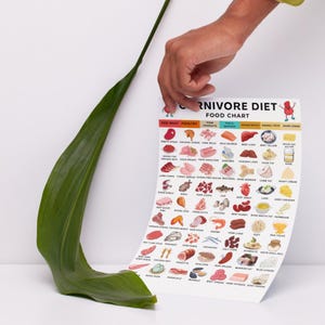 Carnivore Diet Grocery List, High Protein Carnivore Diet List, Low Carb Keto Diet, High Protein Printable Meal Planning Download image 7