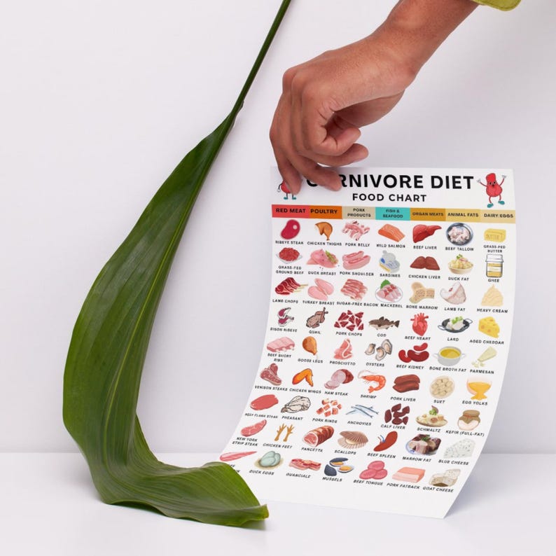 Carnivore Diet Grocery List, High Protein Carnivore Diet List, Low Carb Keto Diet, High Protein Printable Meal Planning Download image 7