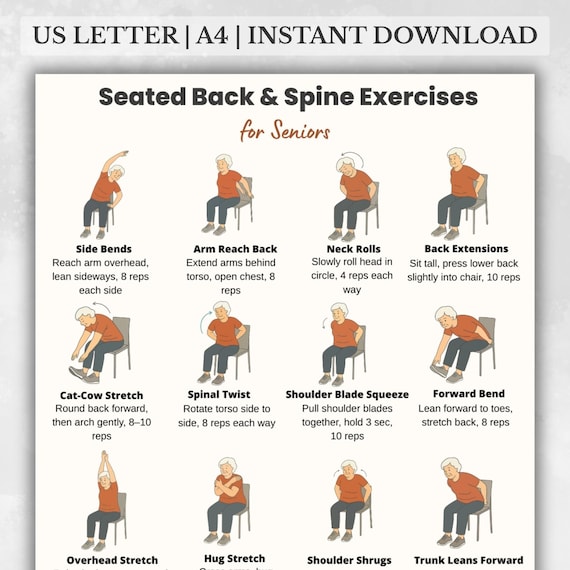 Seated Back and Spine Exercises for Seniors Printable | Chair Stretch Chart for Older Adults | Low Impact Workout Poster | Fitness Printable
