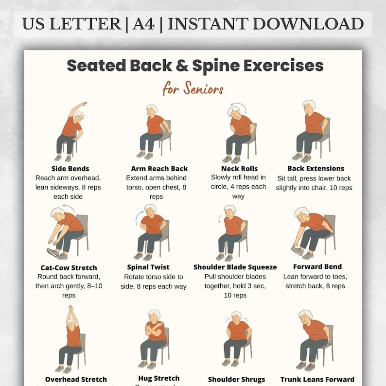 Seated Back and Spine Exercises for Seniors Printable | Chair Stretch Chart | Low Impact Workout Poster