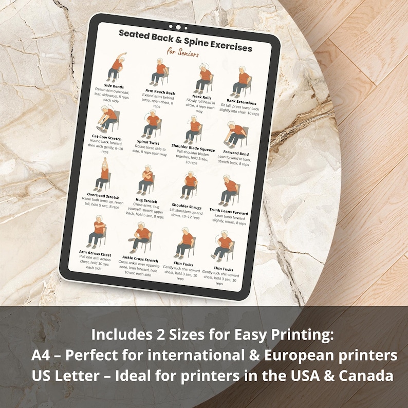 Seated Back and Spine Exercises for Seniors Printable | Chair Stretch Chart | Low Impact Workout Poster