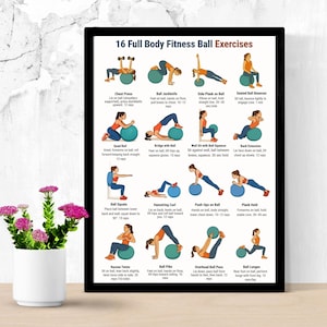 16 Full Body Fitness Ball Exercises Workout Poster, Stability Ball ...