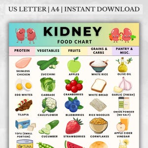 May include: A colorful kidney food chart with illustrations of various food groups, including protein, vegetables, fruits, grains, and pantry items. The chart includes images of chicken, zucchini, apples, and rice.