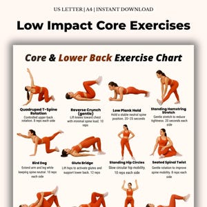 May include: A printable exercise chart titled "Low Impact Core Exercises" with illustrations of various core and lower back exercises. The chart includes exercises like Quadruped T-Spine Rotation, Reverse Crunch, and Standing Hamstring Stretch.