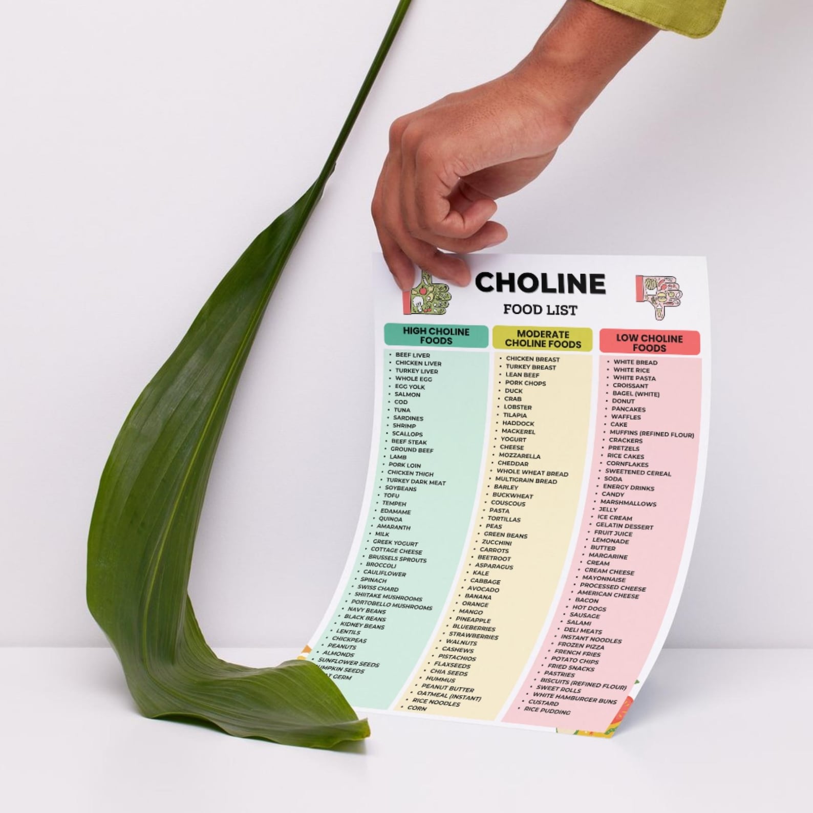 Choline Food List Printable PDF, High Choline Foods Chart, Low Vs High ...