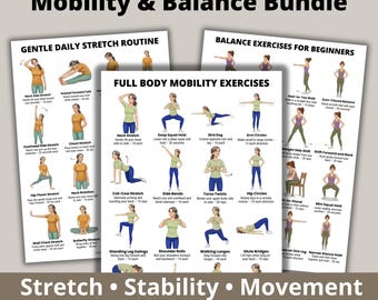 Mobility and Balance Workout Bundle Printable PDF, Full Body Mobility, Daily Stretch Routine and Stability Exercises Posters