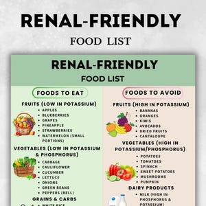 Renal-Friendly Food List Printable, Kidney-Friendly Foods Chart, Low Sodium Grocery List, Gentle Nutrition PDF, Renal Diet Foods