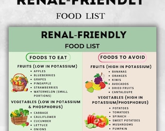 Renal-Friendly Food List Printable, Kidney-Friendly Foods Chart, Low Sodium Grocery List, Gentle Nutrition PDF, Renal Diet Foods