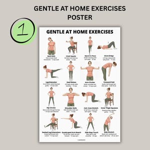 Daily Movement Workout Bundle printable set with gentle at home exercises easy daily routine and mobility exercise posters for beginners PDF