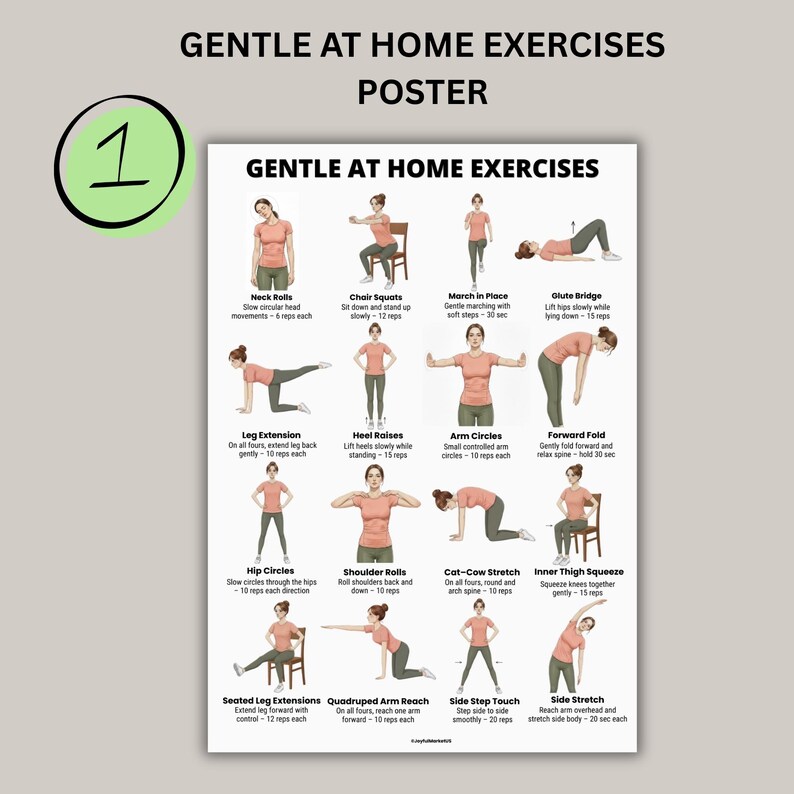 Daily Movement Workout Bundle printable set with gentle at home exercises easy daily routine and mobility exercise posters for beginners PDF