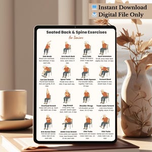 Seated Back and Spine Exercises for Seniors Printable | Chair Stretch Chart | Low Impact Workout Poster