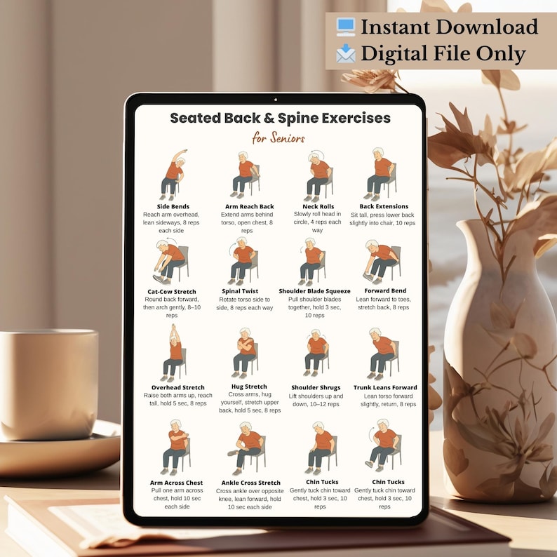 Seated Back and Spine Exercises for Seniors Printable | Chair Stretch Chart | Low Impact Workout Poster