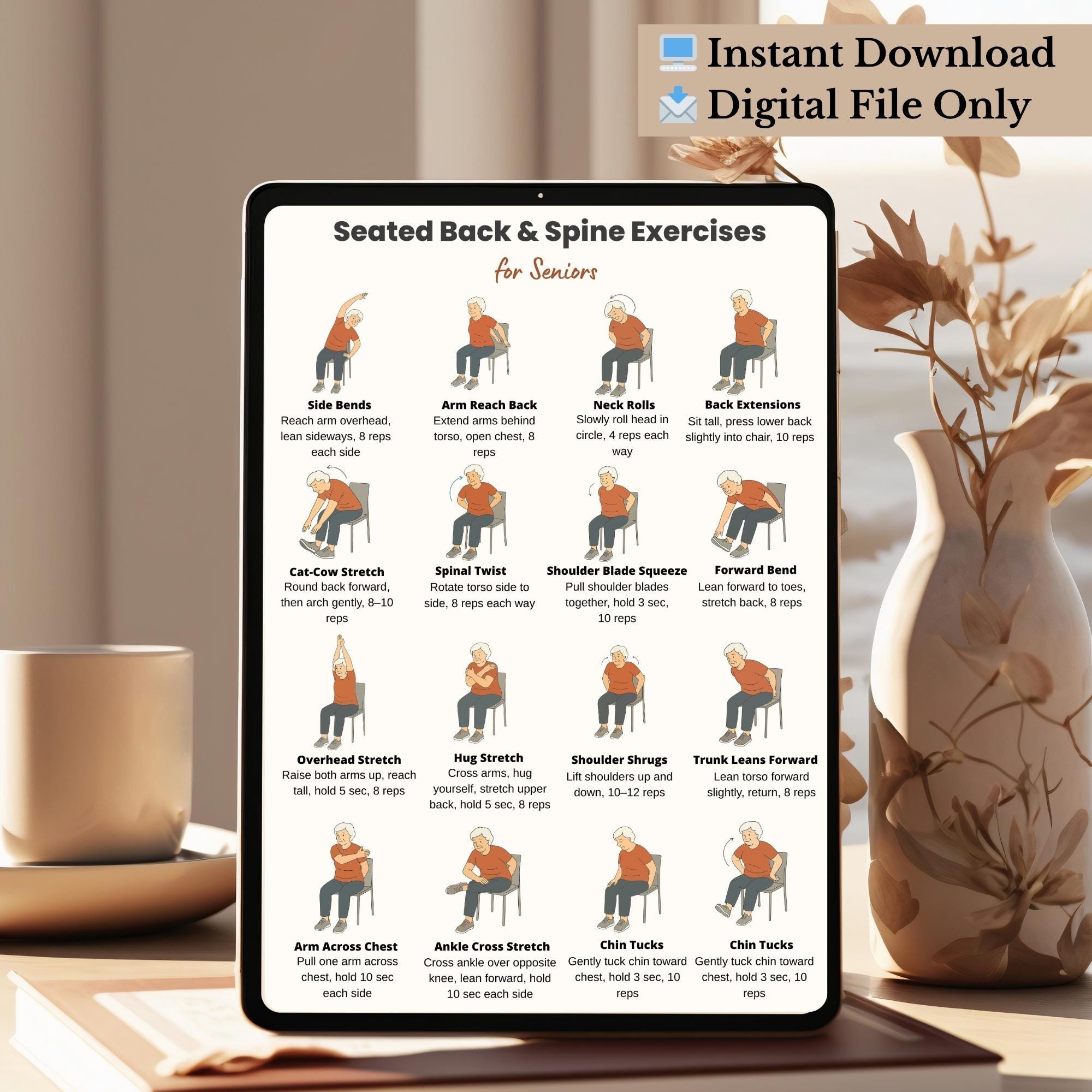 Seated Back and Spine Exercises for Seniors Printable | Chair Stretch ...