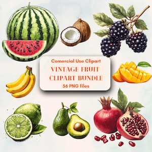 Vintage Fruity Vibes Clipart Bundle für kreative Projekte, kostenlose unbegrenzte kommerzielle Nutzung Clipart, digitaler Sofort-Download, Lieferung Clipart