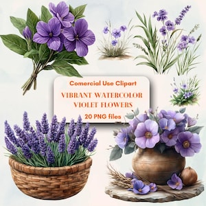 Lebendiges Aquarell violette Blumen Clipart-Set für Kunsthandwerk & Einladungen, kostenlose unbegrenzte kommerzielle Nutzung Kunst digitaler Sofort-Download, Versorgung