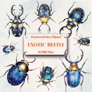 Exotischer Käfer Clipart Bundle Lebendige Insekt Illustrationen für Kreative Projekte, Kostenlos Unbegrenzte kommerzielle Nutzung Kunst Digitaler Sofort-Download