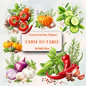 Conjunto de vegetais e ervas culinárias em aquarela Garden Harvest, uso comercial ilimitado gratuito, download instantâneo digital, material para DIY, peculiar