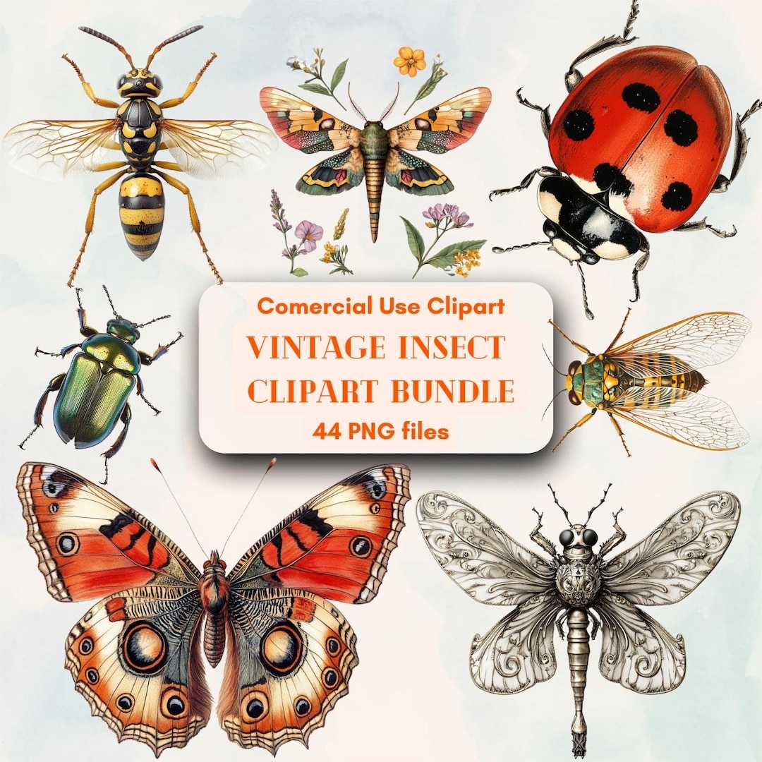 Vintage Insect Clipart Bundle: 44 PNG Files, Commercial Use (digital ...