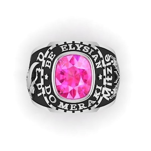 May include: A silver ring with a black enamel band and a pink gemstone. The band is inscribed with the words "To Be Do Meraki Elysian Witzi An".