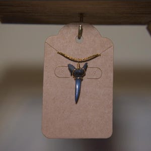 Large Shark Tooth Necklace (18k Gold Plated Chain)