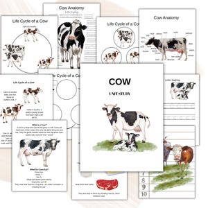 COWS Unit Study, Cattle, Life Cycle, Anatomy, Farm Animals, Nature Study, Science, Instant DOWNLOAD, Homeschool Printable