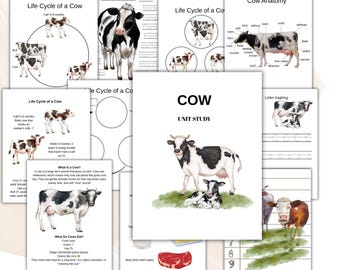 Puede incluir: Un conjunto de hojas de trabajo educativas sobre vacas. Las páginas incluyen ilustraciones de la anatomía de la vaca, el ciclo de vida y un estudio de unidad titulado "COW". Las hojas de trabajo presentan texto y diagramas.